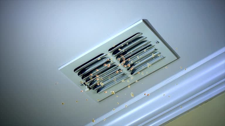 Best Ductwork Cleaning Services  in Hope Mills, NC